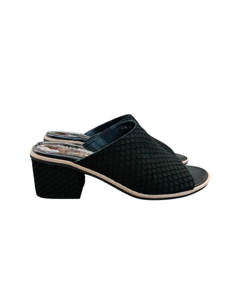 Andrea Biani | Black Heels | Size 38