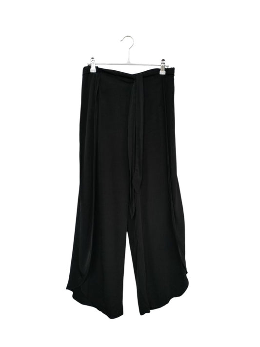 Max | Black Pants | Size 12